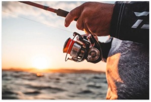 Mulineta Daiwa 24 Certate FC LT - Img 5