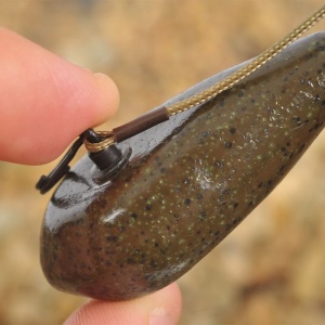Plumb Korda COG Flat Distance - Img 3