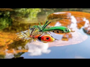 Rapala BX® Skitter Frog 5.5cm 13g Gold Fluorescent Red - Img 3