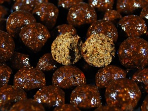 Select Baits Boilies Classic Squid Krill & Oriental Spices 15mm 800g - Img 2