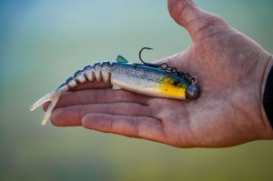 Shad Savage Gear Cannibal Minnow V-Tail 12.5cm 4buc/plic - Img 8