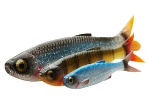 Shad Savage Gear Craft Dying Minnow 10cm 5.5g Blue Pearl - Img 2