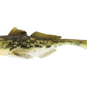 Shad Westin Gunar the Goby 10cm 12.8g Appleseed 2buc/plic - Img 3