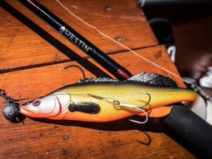 Shad Westin ZanderTeez Shadtail 8.5cm Crazy Firetiger - Img 3