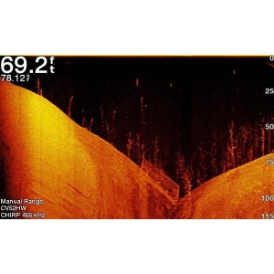 Sonar Garmin Ecomap Plus 62CV WW GT20 XCDR - Img 4