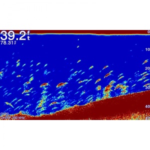 Garmin Echomap Plus 72SV chartplotter sonar de 7 inch fără sondă, compatibil CHIRP ClearVü SideVü.