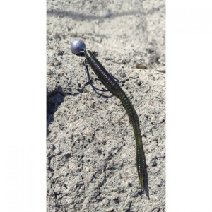 Vierme Owner Shiver Tail 11.5cm 10buc/plic 22 Smokey Hologram - Img 7