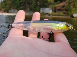 Vobler Yo-Zuri 3DR Pencil 10cm 16g Floating RGZS - Img 4