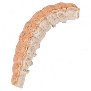 Berkley PowerBait Power Honey Worm 2.5cm Orange Pearl