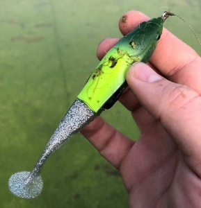 Jackall Grinch 135mm 20g BLUE BACK CHARTREUSE TAIL - Img 6