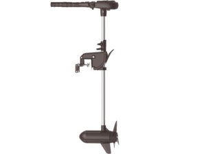 Motor Electric Haswing Protruar 3Hp 110lb Brushless