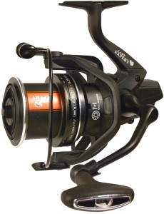 Mulineta Carp Expert Score Method