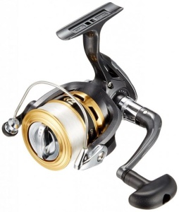 Mulineta Daiwa Join US - Img 2