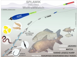 Plută Cralusso Wolfram Match cu lestaj din tungsten, calibrare precisă 0,05 g și aerodinamică superioară, ideală pentru pescuit match Sheffield la distanță 