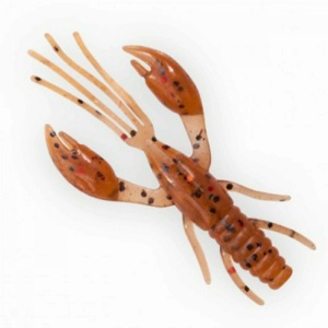 Rac Fanatik Raider 56mm Maple Syrup