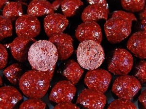 Select Baits Boilies Classic Shellfish Robin Red & Garlic 20mm 800g - Img 2