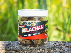Select Baits Boilies de carlig special intarit Belachan 16mm - Img 3