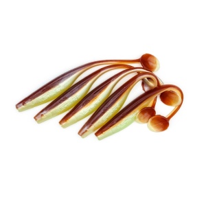 Shad Fast Strike Huky - Kuky 13.5cm 5buc/plic - Img 6