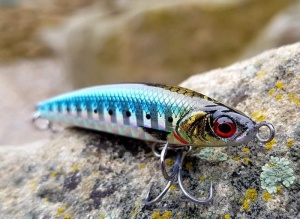 Vobler Savage Gear Gravity Micro Pencil 5cm 8g Ghost Sardine - Img 6
