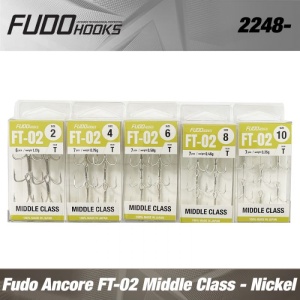 Ancore Fudo FT-02T Middle Class Nickel - Img 2