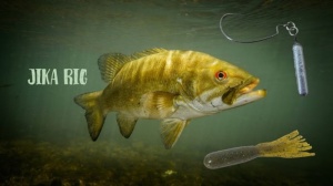Carlige Offset Decoy Worm 417 Riged KG - Img 5