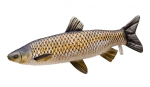 Perna Energo Team Amur Urias 105cm