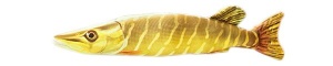 Perna Energo Team Baby Stiuca 43 x 10 x 7cm