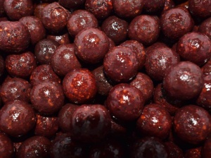 Select Baits Boilies Meat & Fish + Squid & Octopus & Cranberry 20mm 1kg Solubile - Img 3
