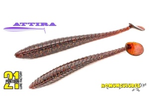 Shad Pontoon21 Attira 8.9cm 434 - Img 3