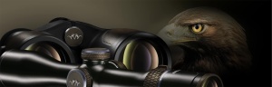 Sistem QDC+ pentru Lunete Blaser B1 / B2 - Img 3