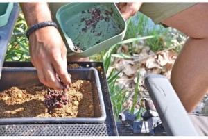 Tava Laterala Carp Zoom Cu Cutie Feeder - Img 2
