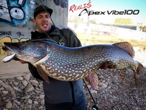 Vobler DUO Apex Vibe 100 10cm 32g S CCC3116 Green Smelt - Img 3