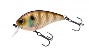 Vobler Yo-Zuri 3DB Crank 1.5 Squarebill 6cm 14g Floating NBG