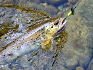 Lingurita rotativa Smith AR-S Spinner Trout 4.5g 03 - Img 2