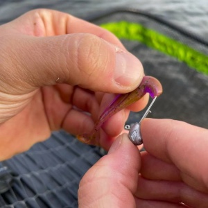 Micro Jig BKK Silent Chaser Punch LRF 5buc/plic - Img 2