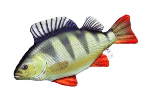 Perna Energo Team Baby Biban 32cm