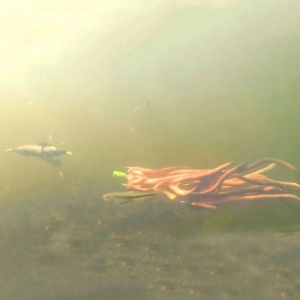 Pluta Zeck Propeller U-Float Solid Green - Img 3