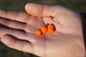 Pop Up Solubil Haldorado Legend Pellet Sinking 8mm-12mm-16mm 70g - Img 12