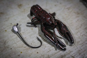 Rac Yum Crawbug 8.3cm 8buc/plic - Img 7