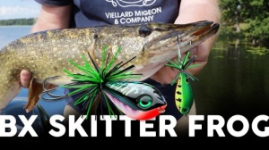 Rapala BX® Skitter Frog 5.5cm 13g Gold Fluorescent Red - Img 4