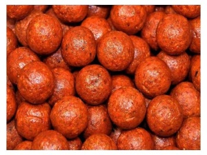 Select Baits Boilies Bio-Krill+ N-Butyric & Indian Spice 24mm 1kg Fierte - Img 2