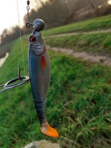 Shad DAM Effzett Shadster 9cm Firetiger UV - Img 3