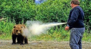 Spray autoapărare urs Walther ProSecur Bear Defender 225ml – Cel mai puternic spray anti-animal cu concentrație de 2% capsaicinoide, jet puternic de până la 10m, mâner tehnic fluorescent și toc premium de susținere inclus.