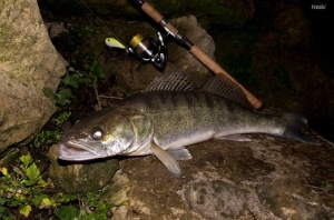 Vida Lures Siliconic Slim 6cm 18g Culoare ZZ - Img 2