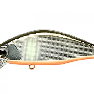 CULOARE: ORANGE BELLY AYU
