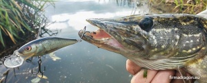 Vobler Salmo Executor IEX5SRF 5cm 5g Floating RPH - Img 4