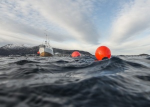 Gamă completă de baloane rotunde portocalii Polyform seria A (modele de la A1 la A6) destinate acostării și semnalizării maritime, fabricate în Norvegia dintr-o singură bucată din Marine Grade Vinyl, echipate cu ochiuri dublu ranforsate și supapă etanșă V