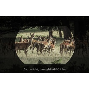 Binoclu termic profesional HIKMICRO HABROK PRO HX60LS cu senzor 1280×1024, NETD <15mK, telemetru laser 1000m și cameră 4K – performanță absolută zi și noapte.