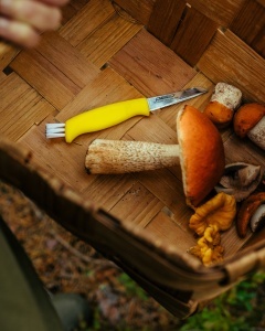 Cuțit Marttiini pentru ciuperci – Instrument specializat cu lamă curbată din oțel inox, mâner galben de înaltă vizibilitate cu perie de curățare și teacă din piele.
