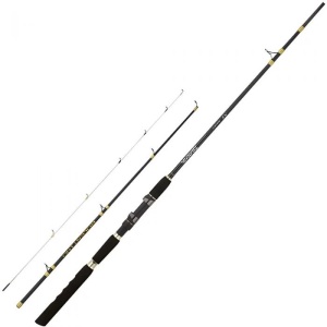 Lanseta Daiwa 19 NT Bolentino 30-150g